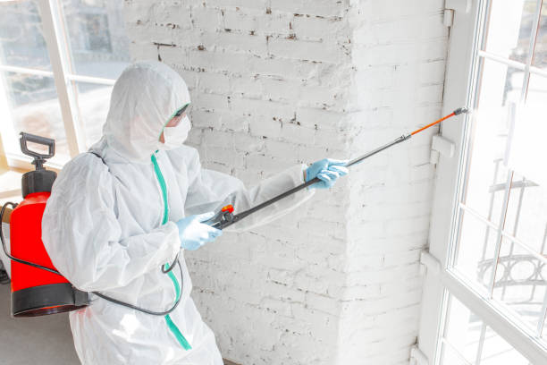 Mold Documentation for Insurance Claims